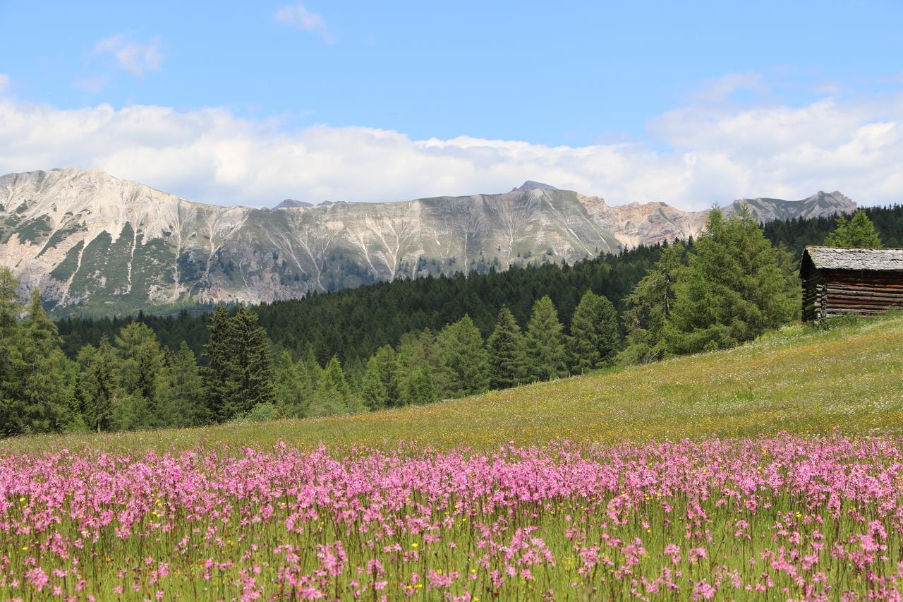Hotel Alpenrose Dolomites La Valle Ngoại thất bức ảnh