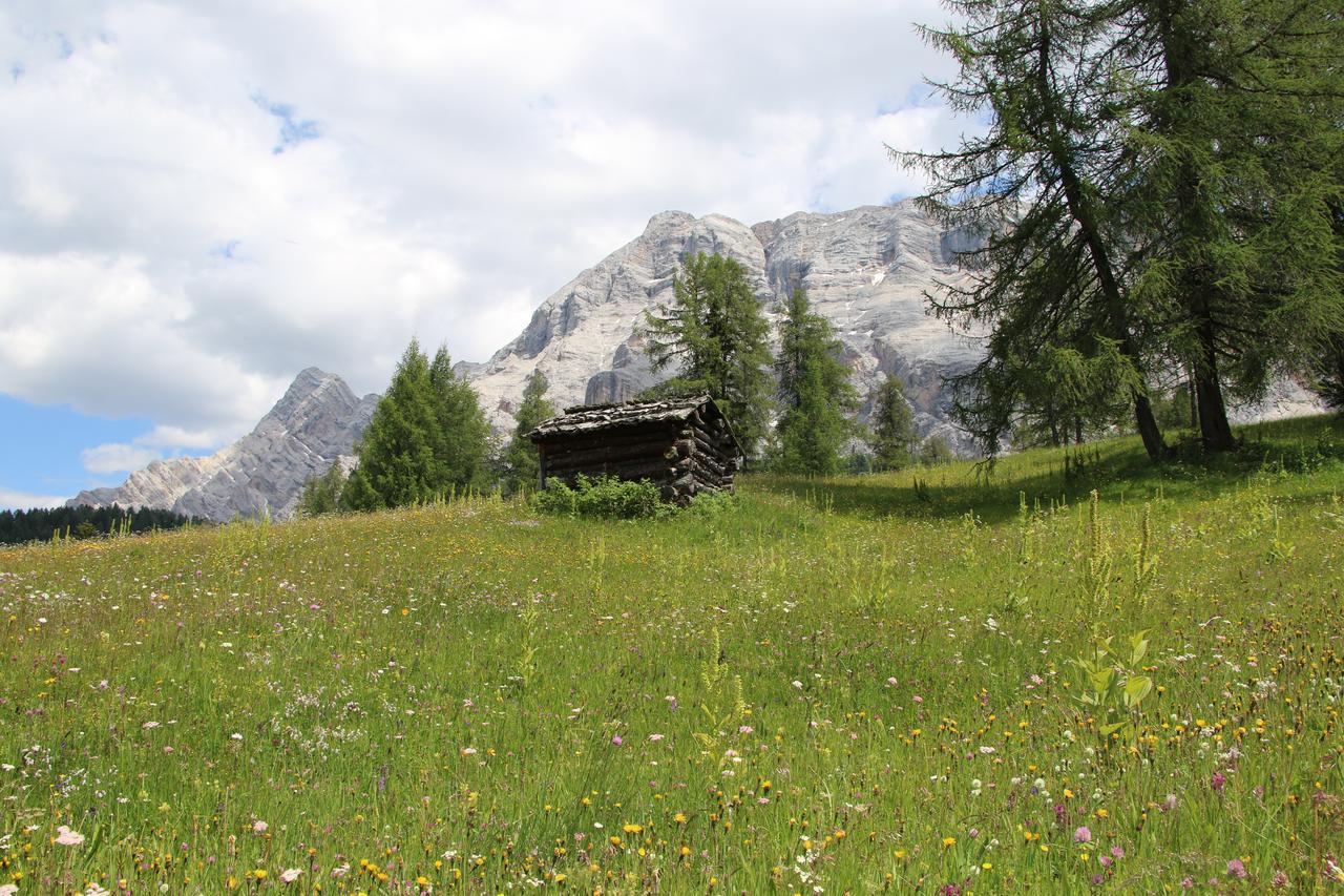 Hotel Alpenrose Dolomites La Valle Ngoại thất bức ảnh